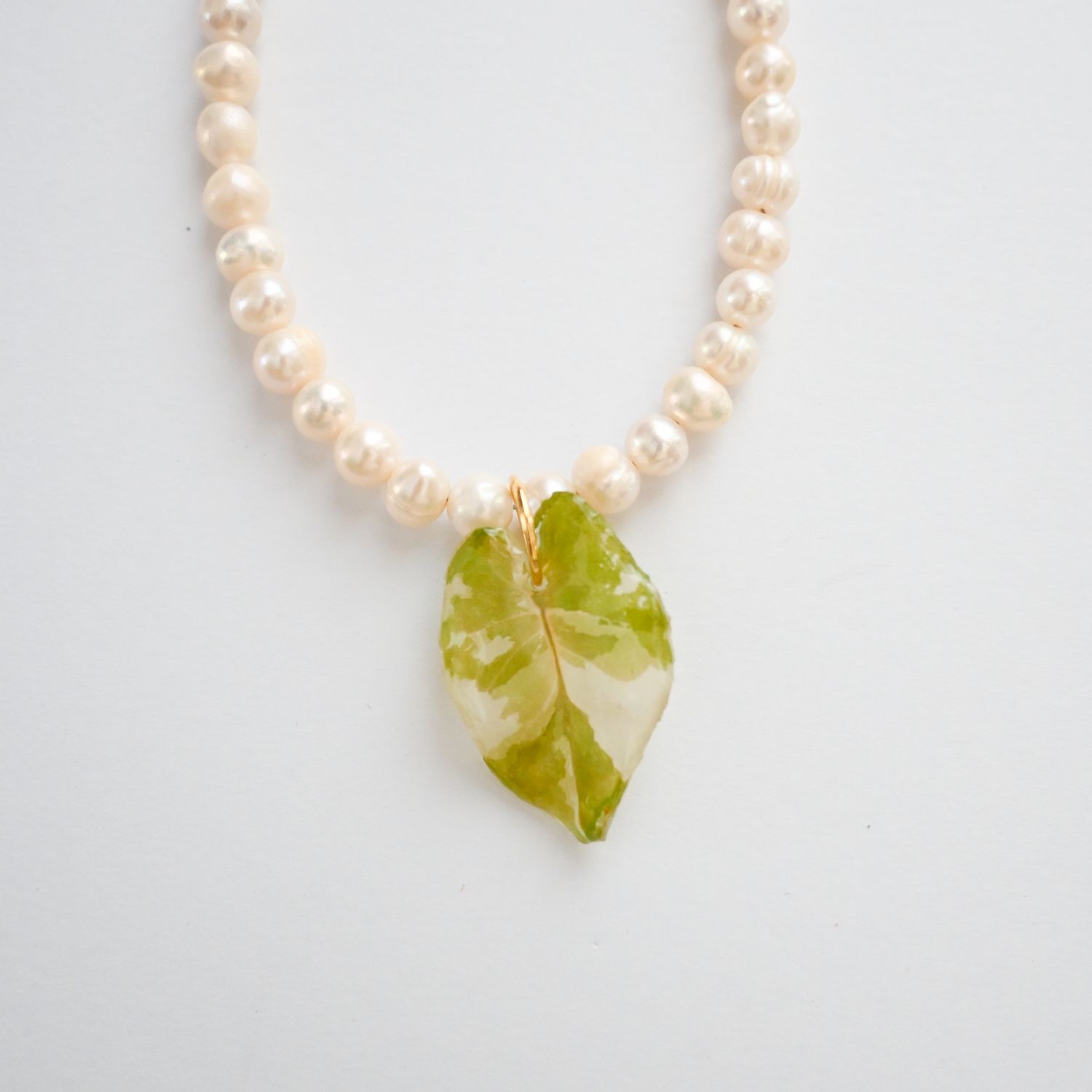 Alocasia leaf necklace