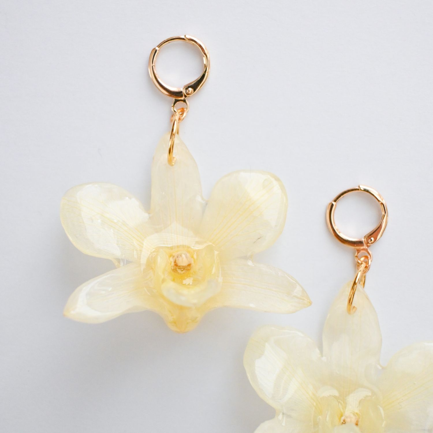 Mini White orchid earrings- Dendrobium