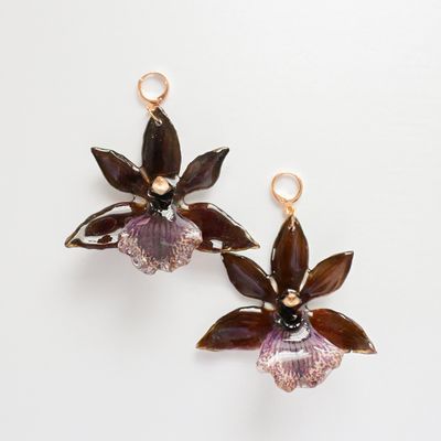 Brown Orchid earrings