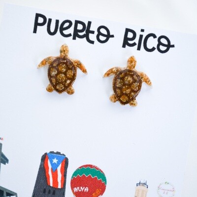 Beach Turtle Studs