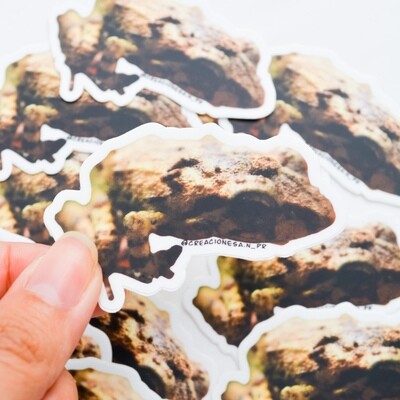 Coqui Sticker