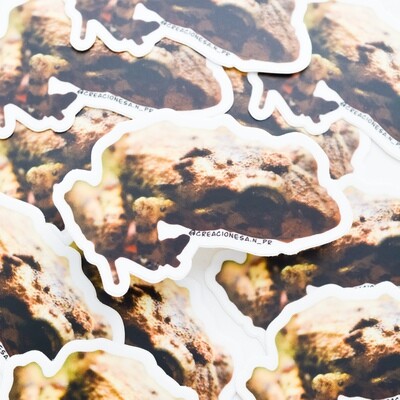 Coqui Sticker