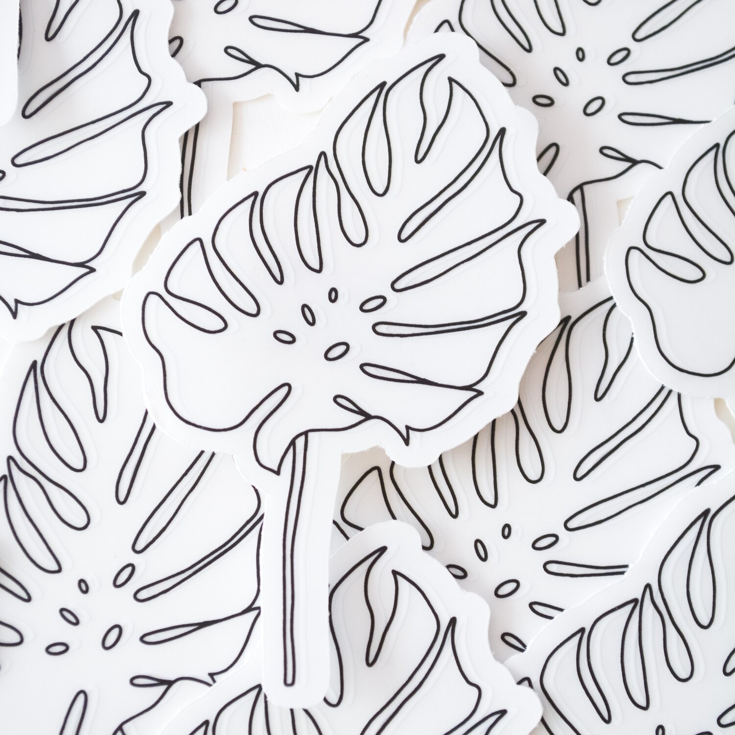 Monstera b/w clear sticker