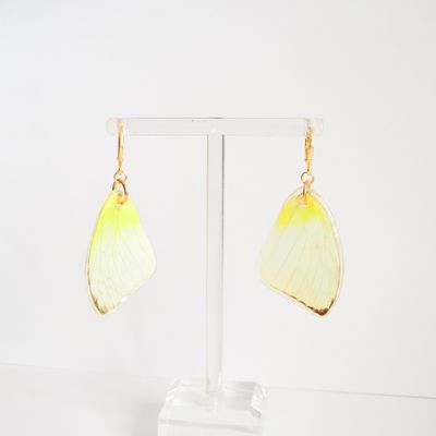 Yellow Butterfly Wing Earrings