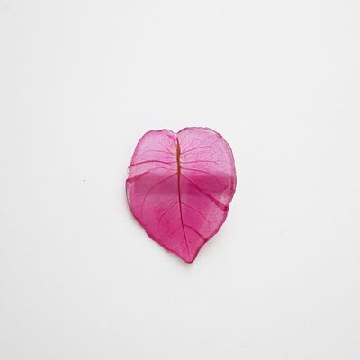 Trinitaria petal hair clip