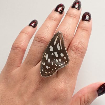 Butterfly wing ring