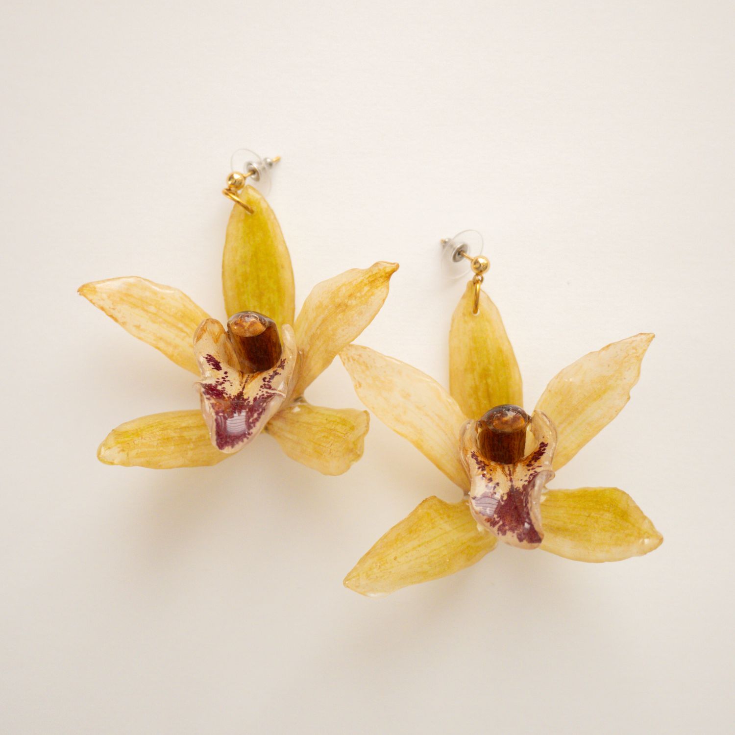 Light green orchid earrings - Cymbidium
