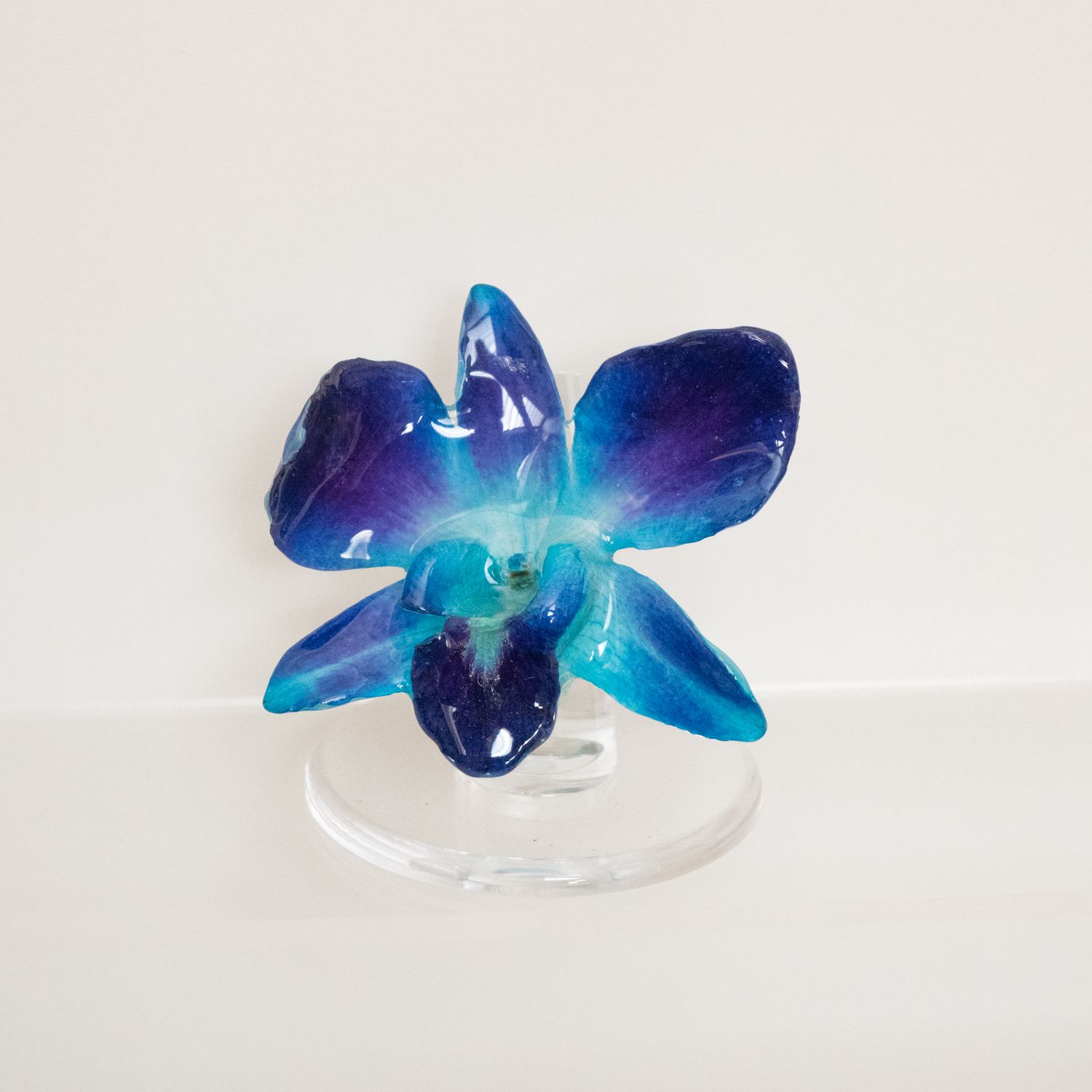 Blue orchid ring