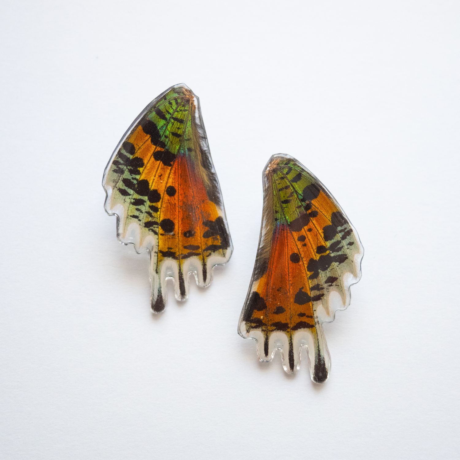 Madagascar Butterfly Stud Earrings