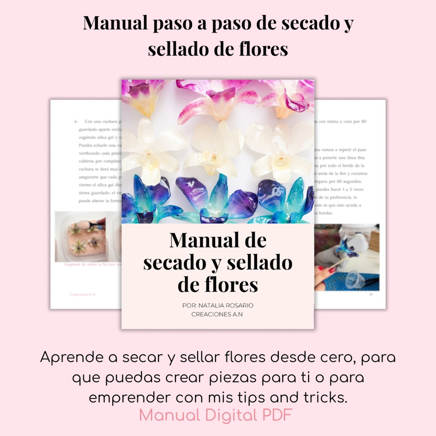 Manual de secado y sellado de flores- Español (PDF)