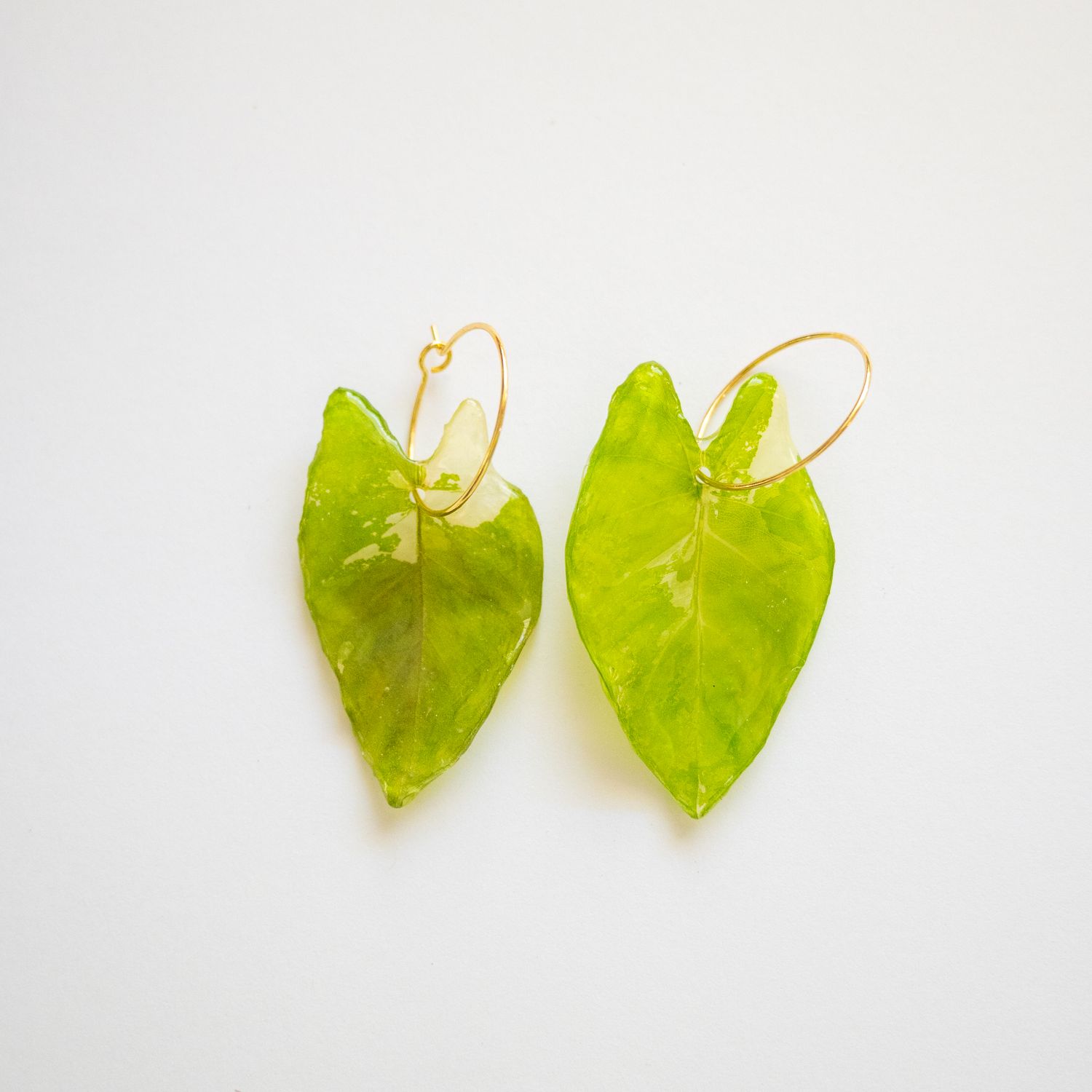 Alocasia leaf earrings