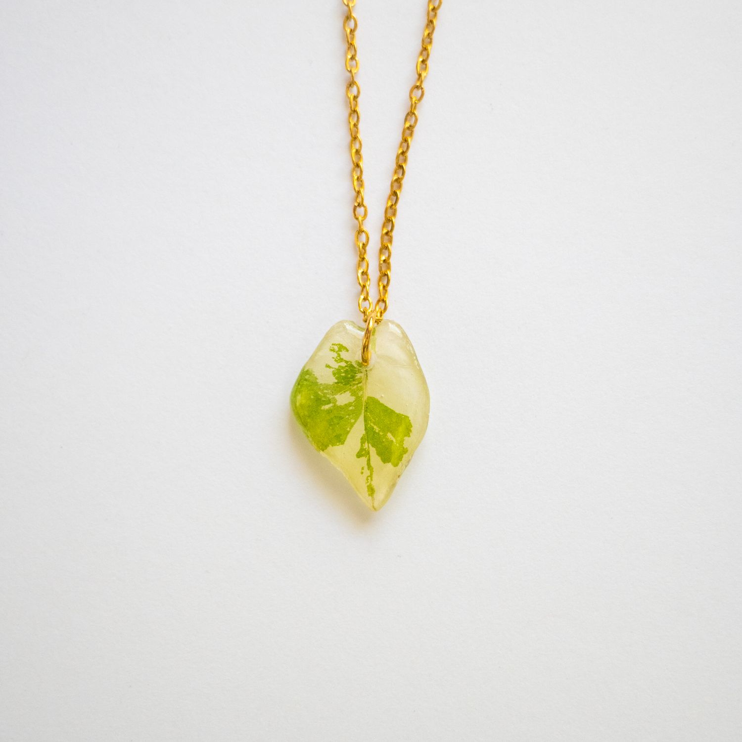 Alocasia leaf necklace