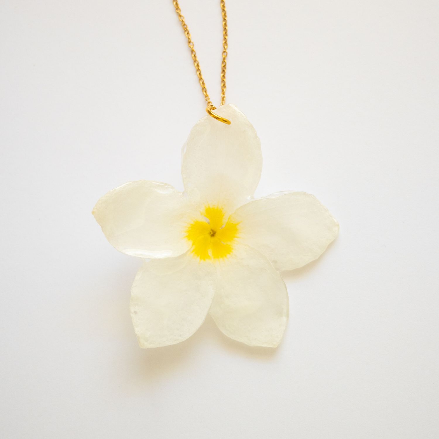 White Plumeria necklace