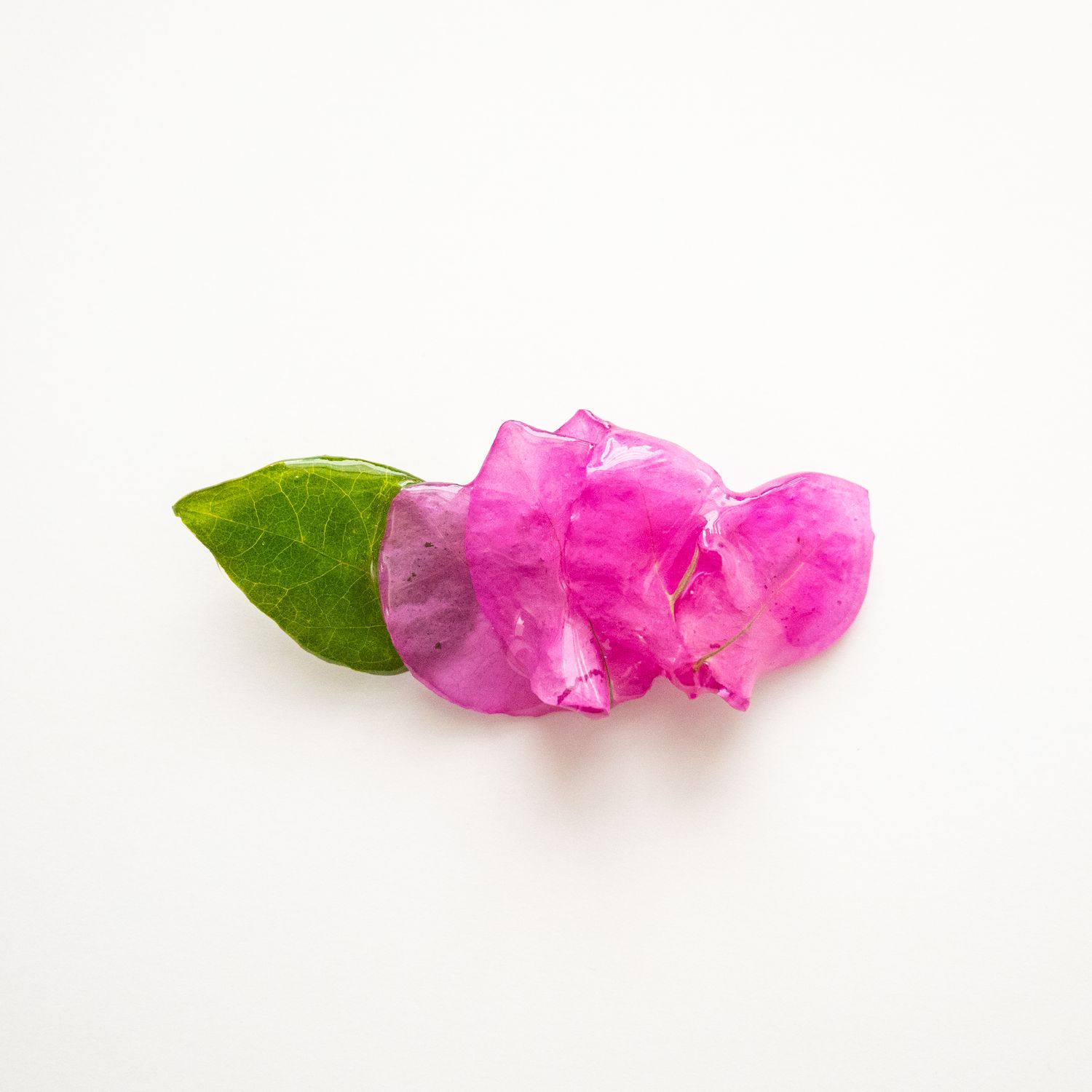 Trinitaria w/ leaf brooch