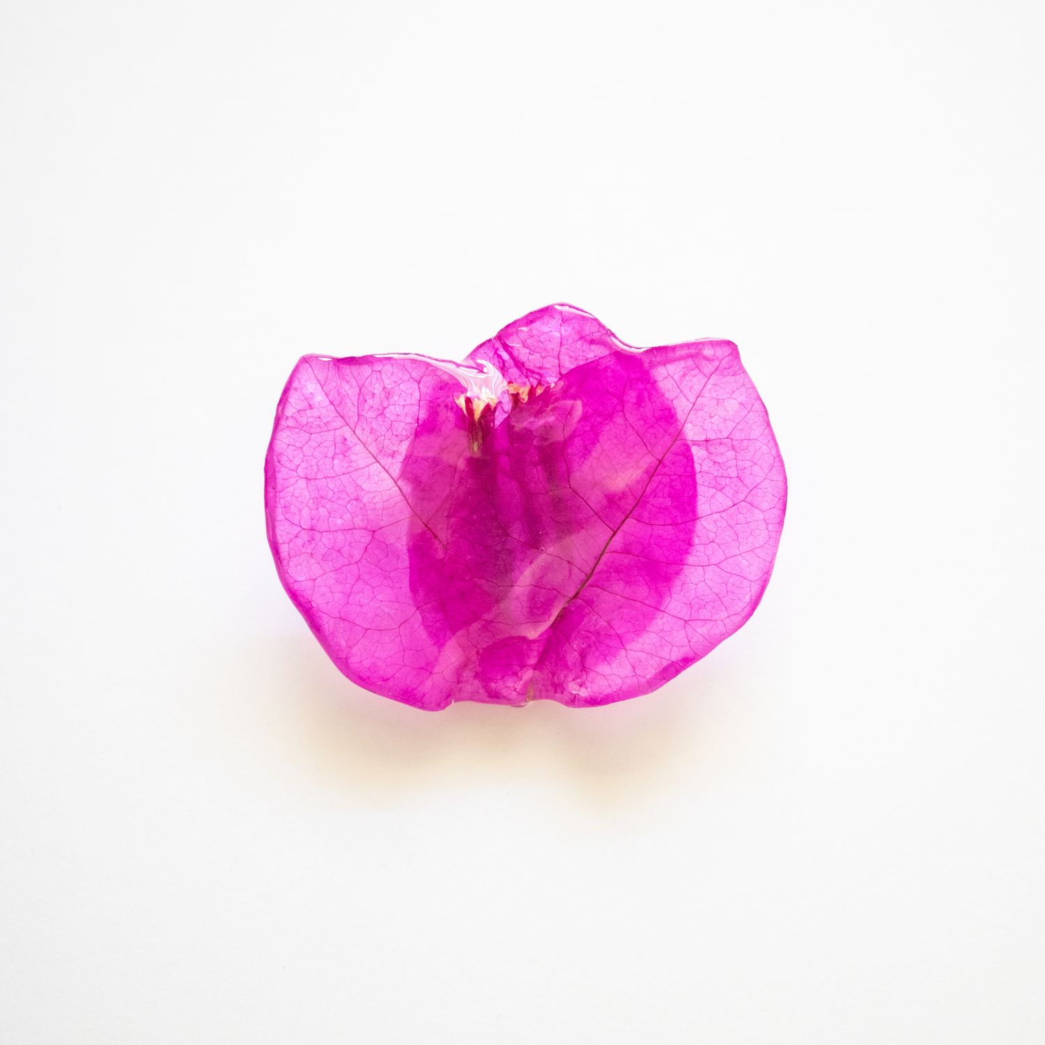 Trinitaria brooch