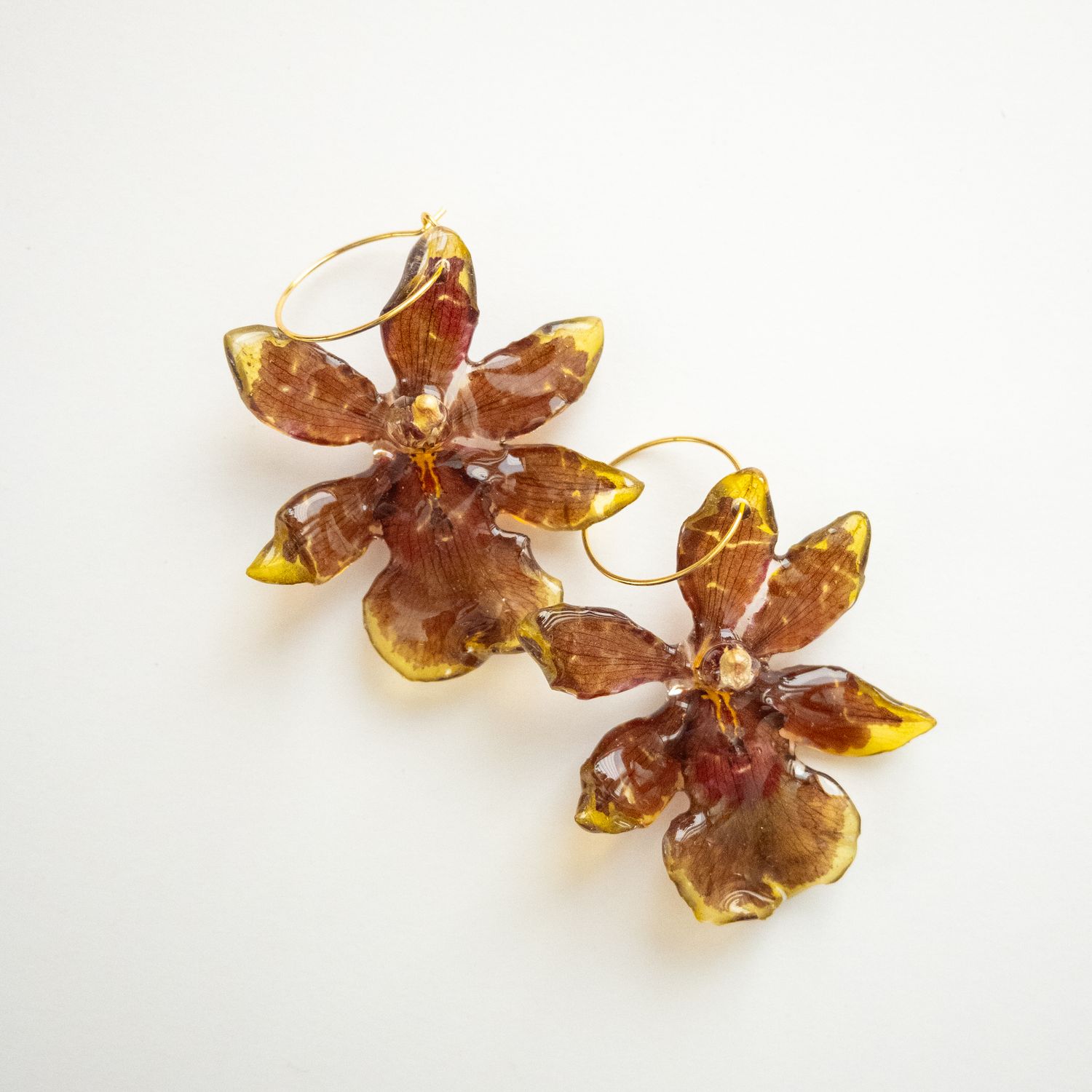 Brown orchid earrings