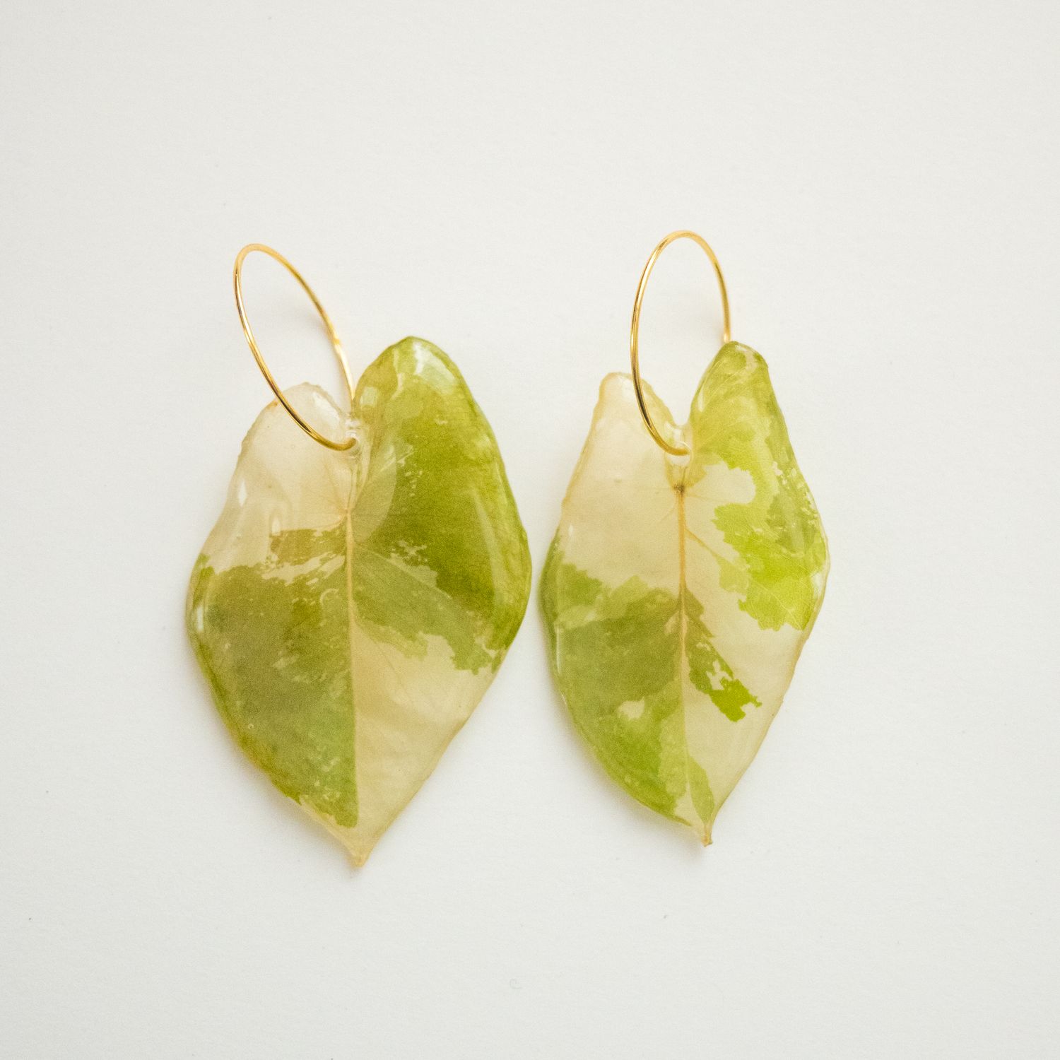 Alocasia leaf earrings