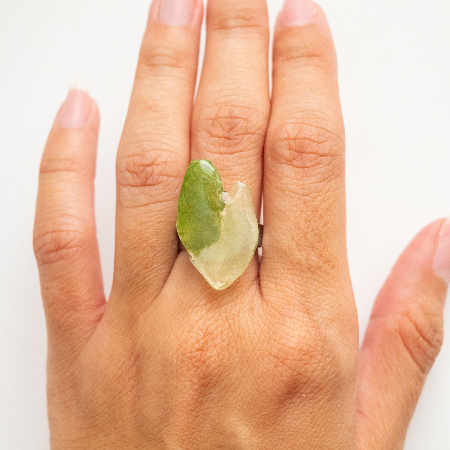 Alocasia leaf ring