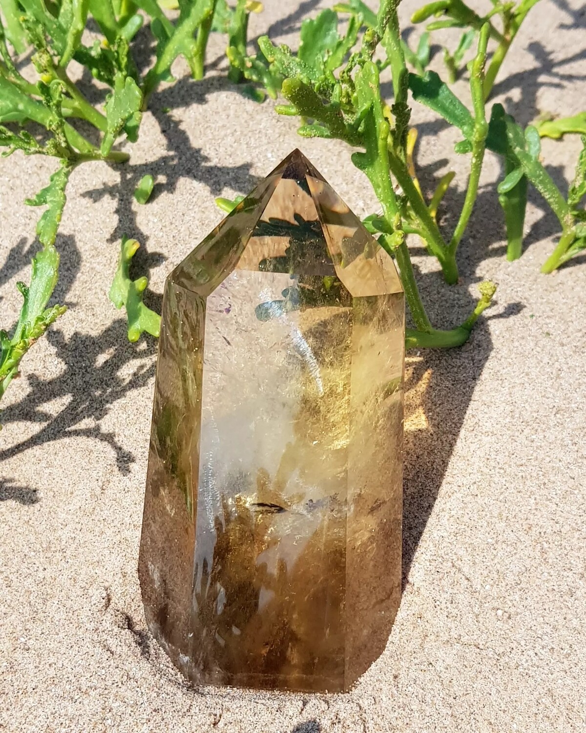 Large Natural Citrine Point