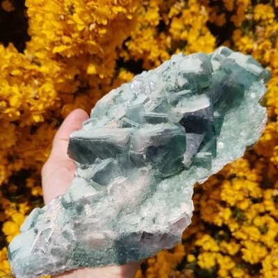 Large Natural Green Flourite Crystal
