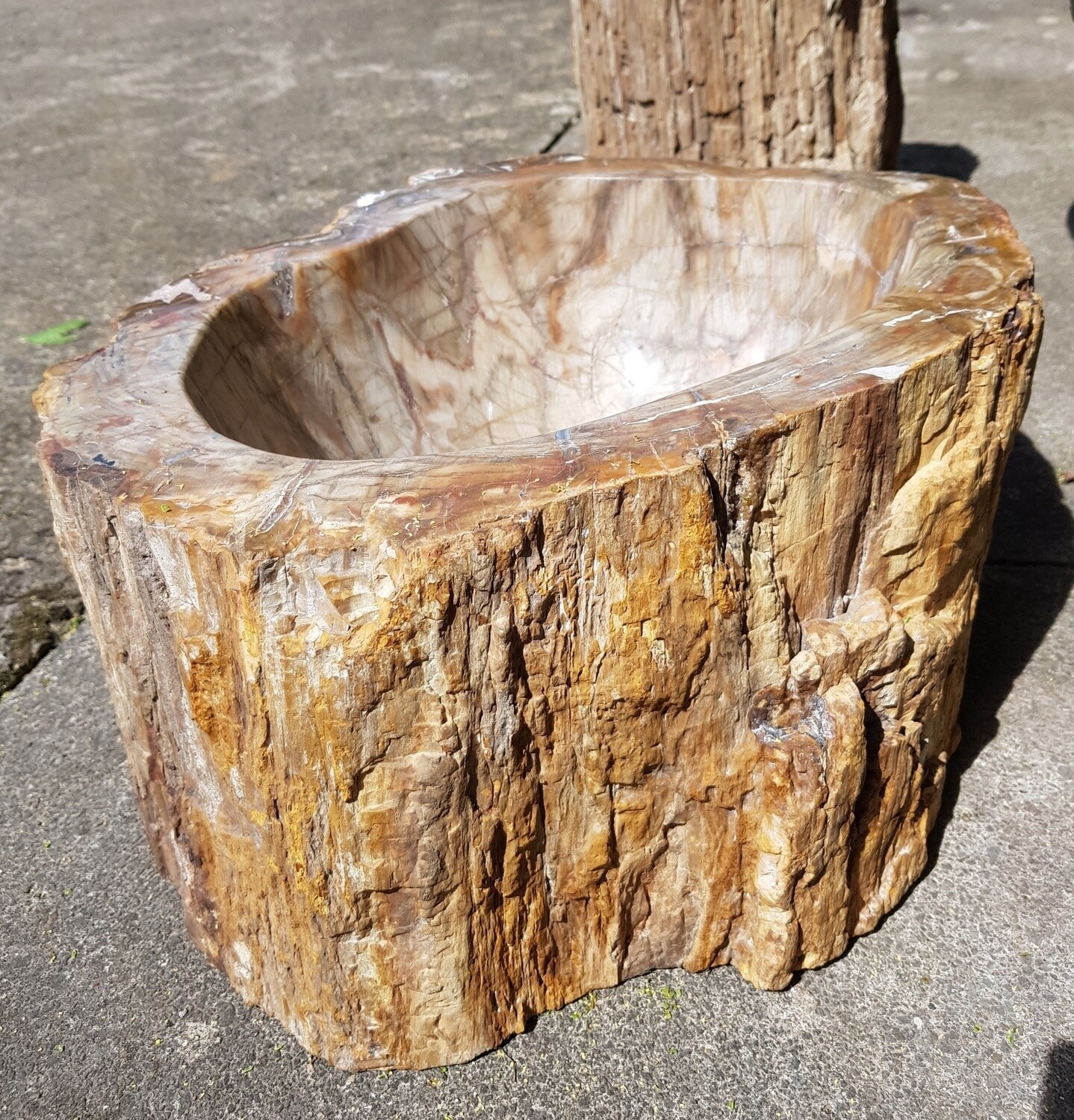 Large Petrified/Fossilised Wooden Bowl
