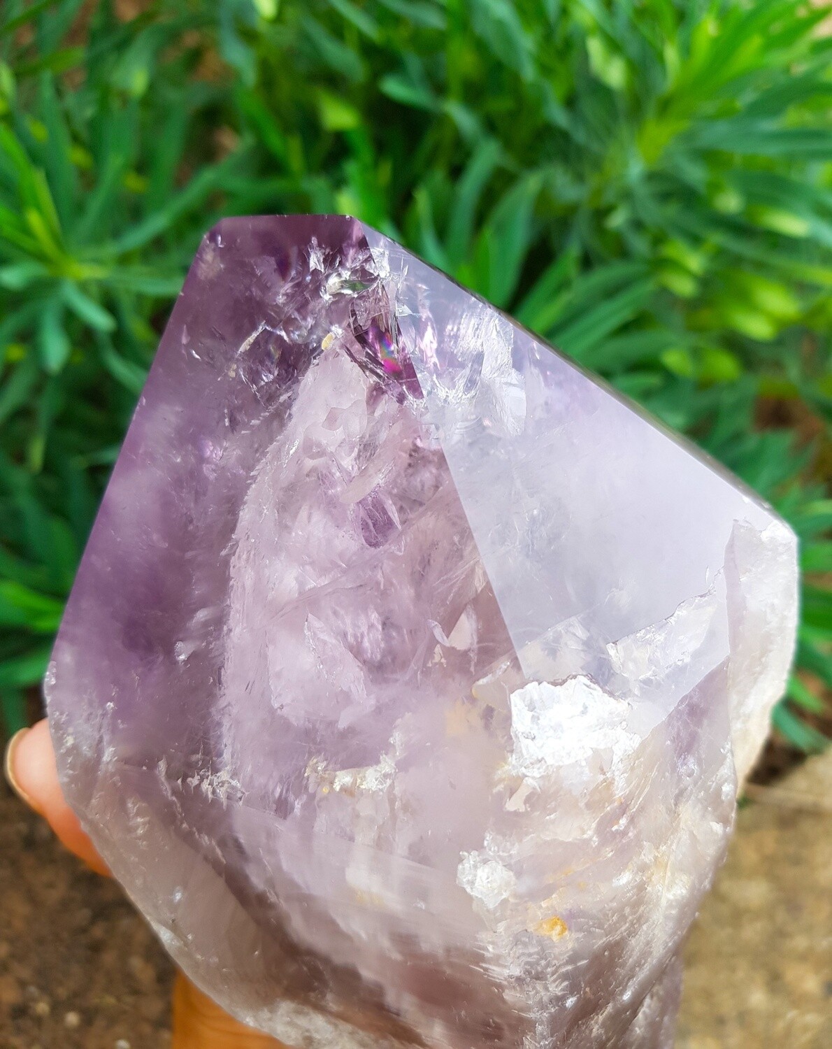 Large Amethyst Root Point