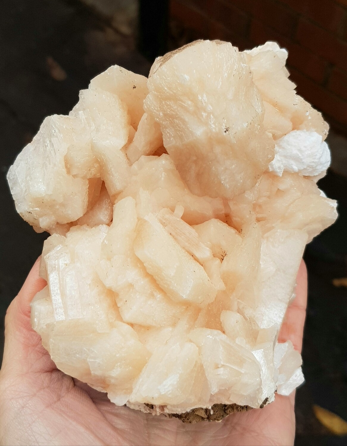 Large Stilbite Crystal