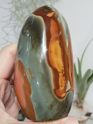 Polychrome Jasper