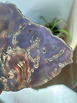 Large Purple Moss Agate Slice