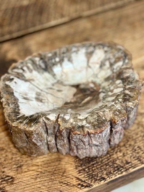 Large Petrified Wooden Bowl