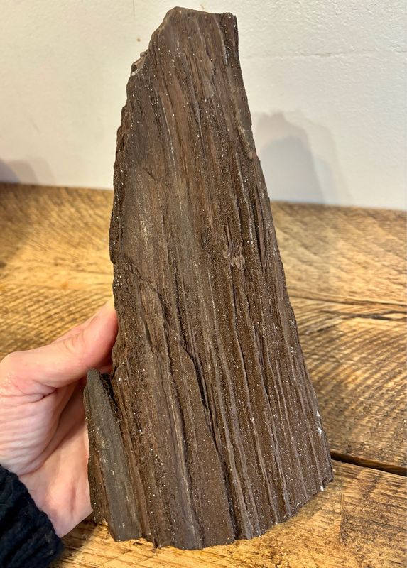 Large Petrified Wood Log with Druzy Quartz