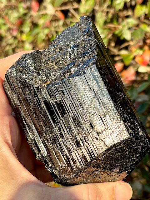 Large Black Tourmaline