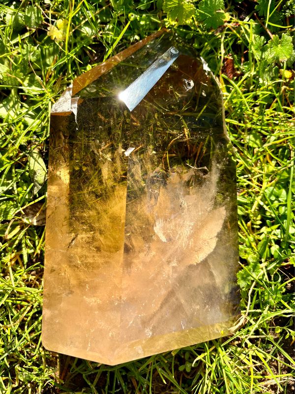 Large Natural Citrine Point