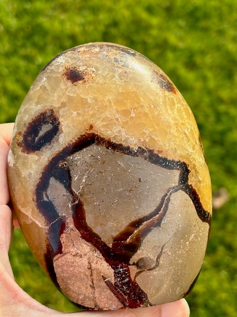 Large Septarian / Dragon Stone