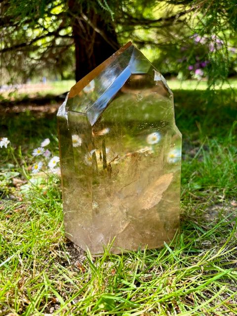 Large Natural Citrine Point