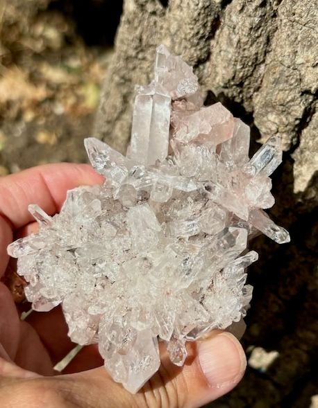 &#39;Sacred Rose&#39; Pink Lemurian Quartz