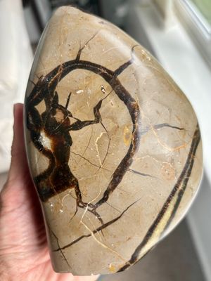 Large Septarian / Dragon Stone
