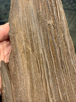 Large Petrified Wood Log with Druzy Quartz