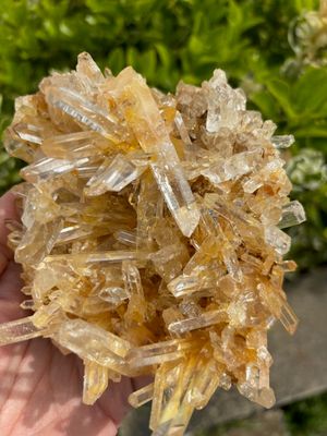 Large Lemurian Golden Healer Seed Quartz Cluster