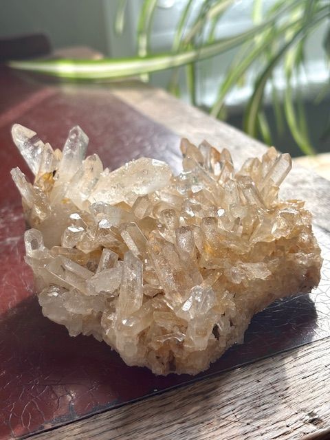 Large Lemurian Seed Quartz Cluster