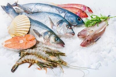 Sea Food
