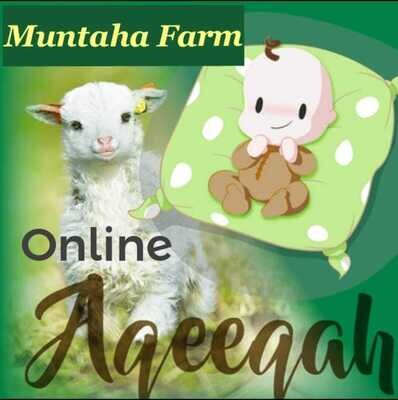 Non Bakrid - Aqeeqah Online