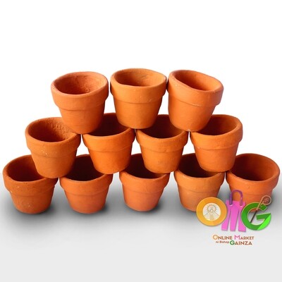 Bigajo Norte Pottery - Cactus Pots