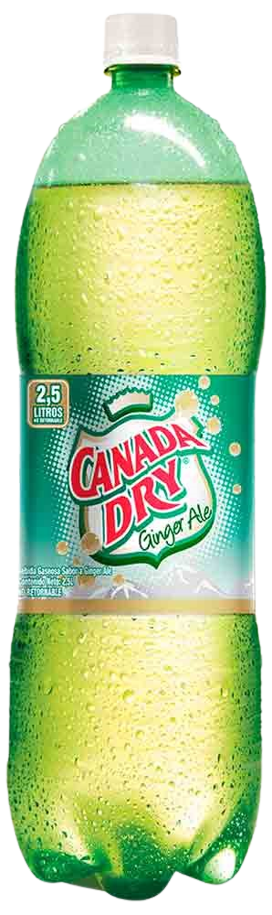 GASEOSA CANADA DRY 2,5 L