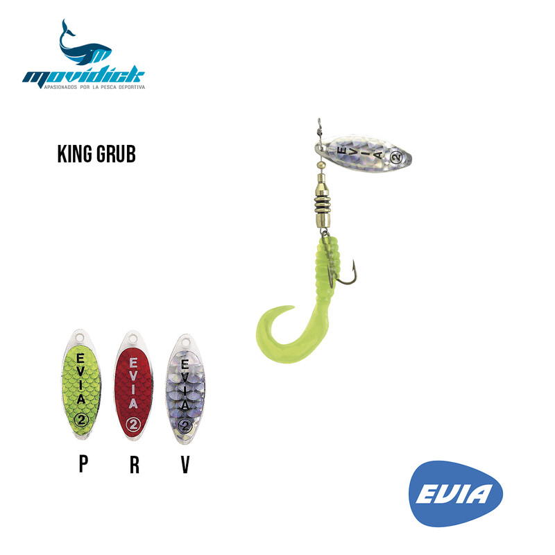 CUCHARILLA KING GRUB