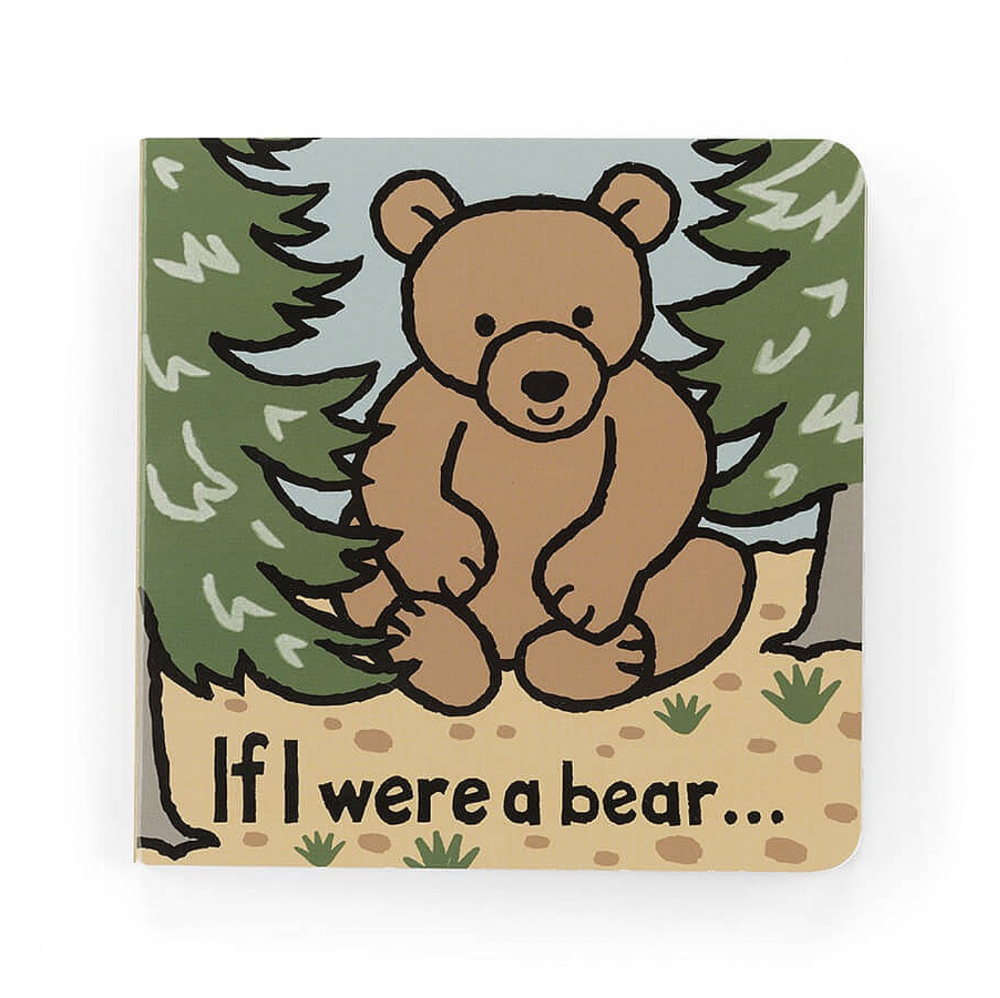 If I Were a Bear Book