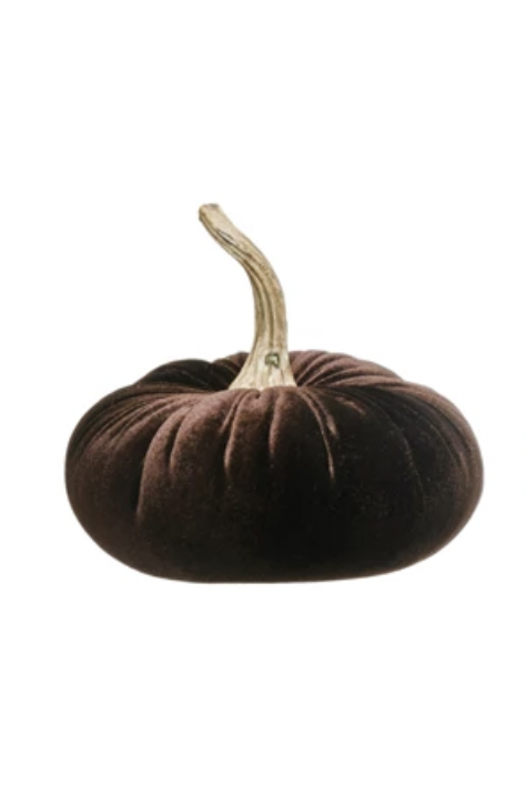 Velvet Pumpkin- Choco Plush