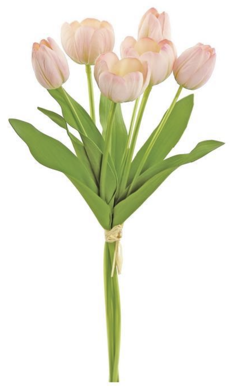 Tulip Bunch- Pink