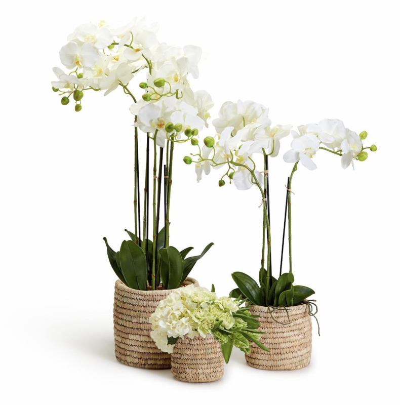 Date Leaf Cachepot- Md