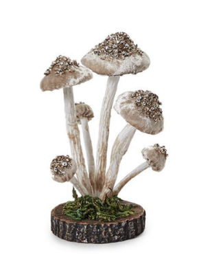 Velvet Mushrooms- Wood Base